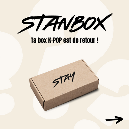 STANBOX STRAYKIDS (100 exemplaires)