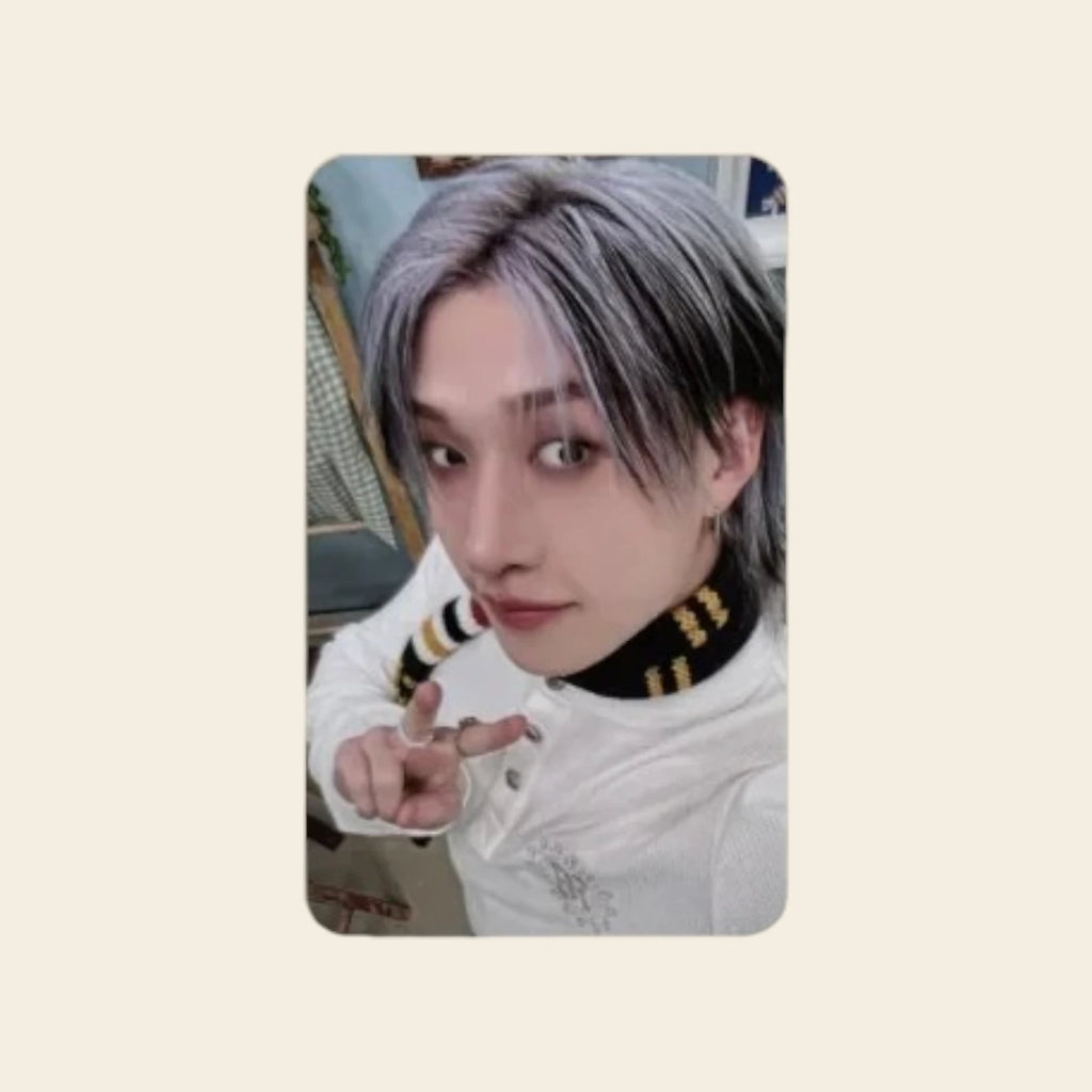 Photocard POB - SKZ Stay in our Little House