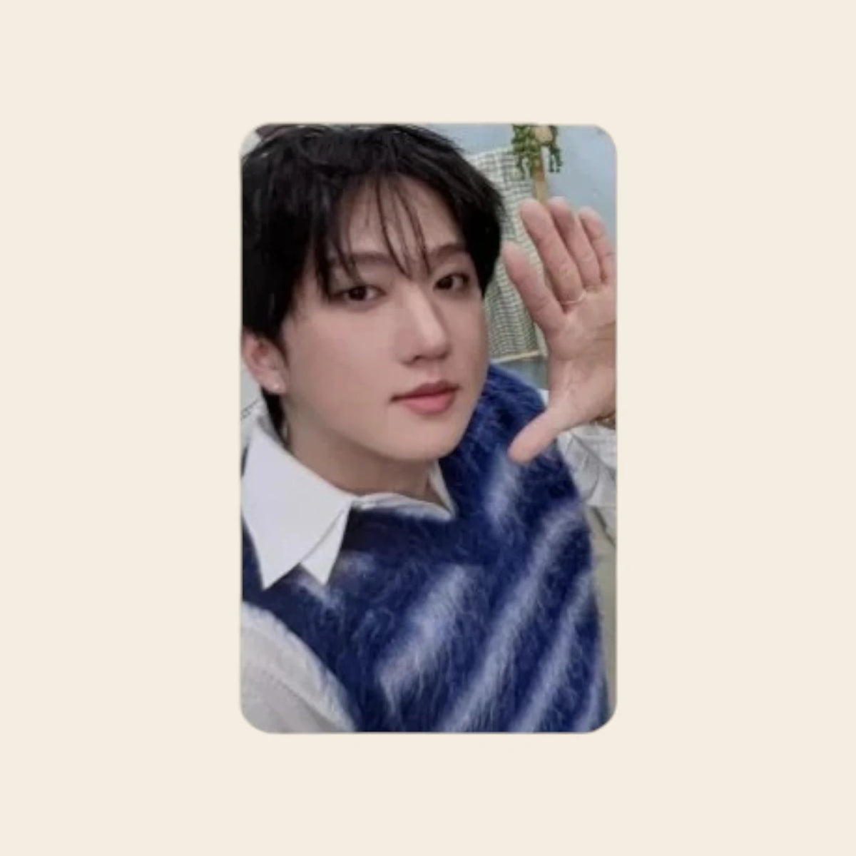 Photocard POB - SKZ Stay in our Little House