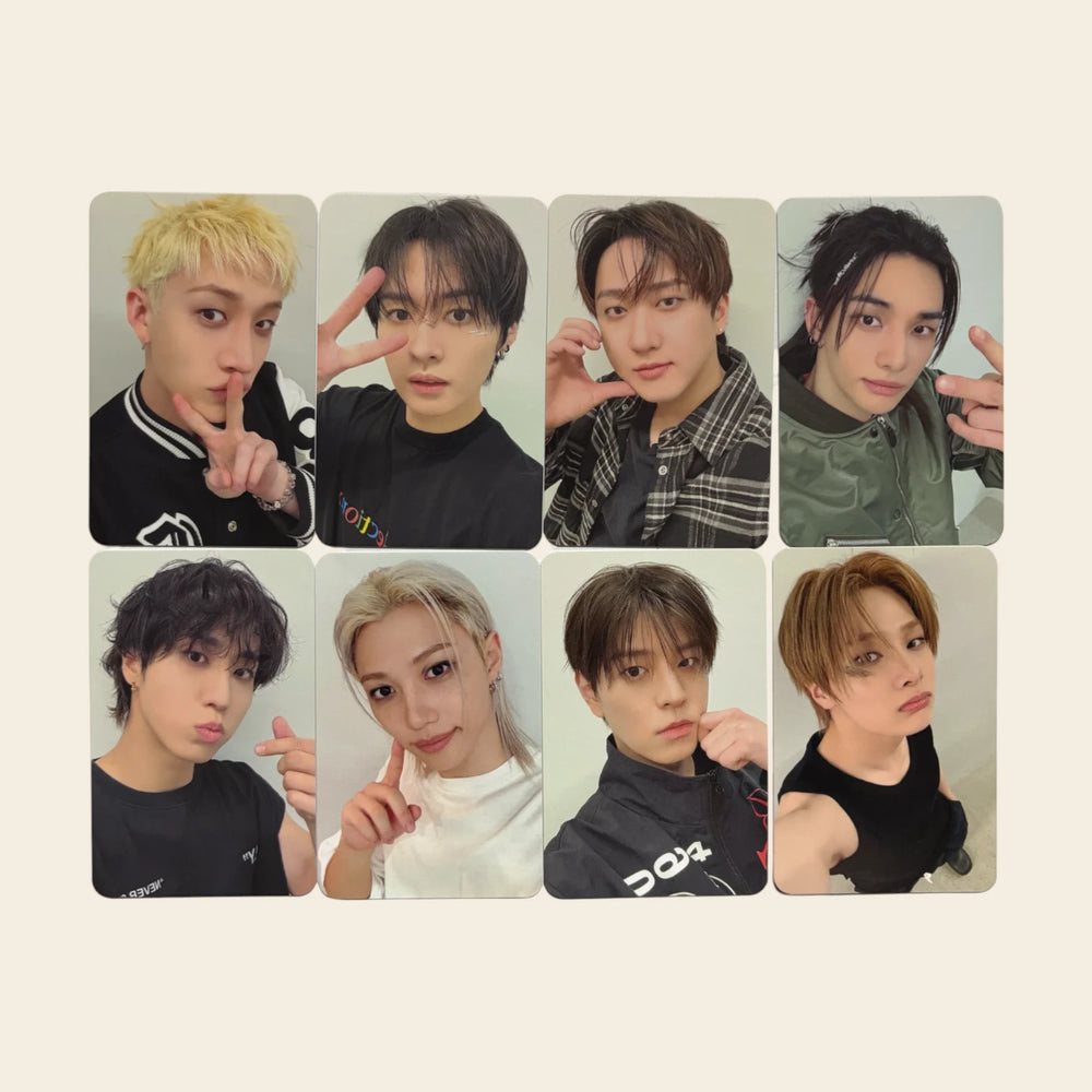 Photocard POB - SKZ THIS & THAT