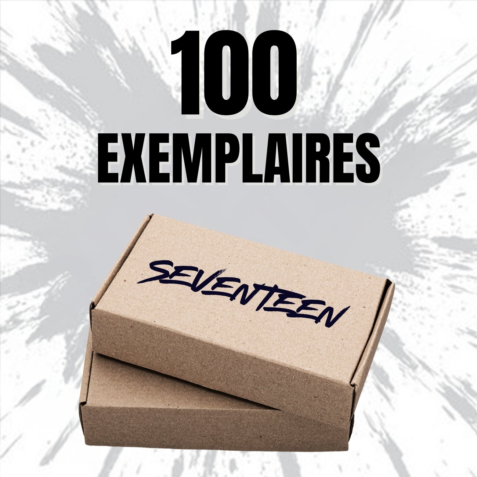 STANBOX SEVENTEEN [100 EXEMPLAIRES]