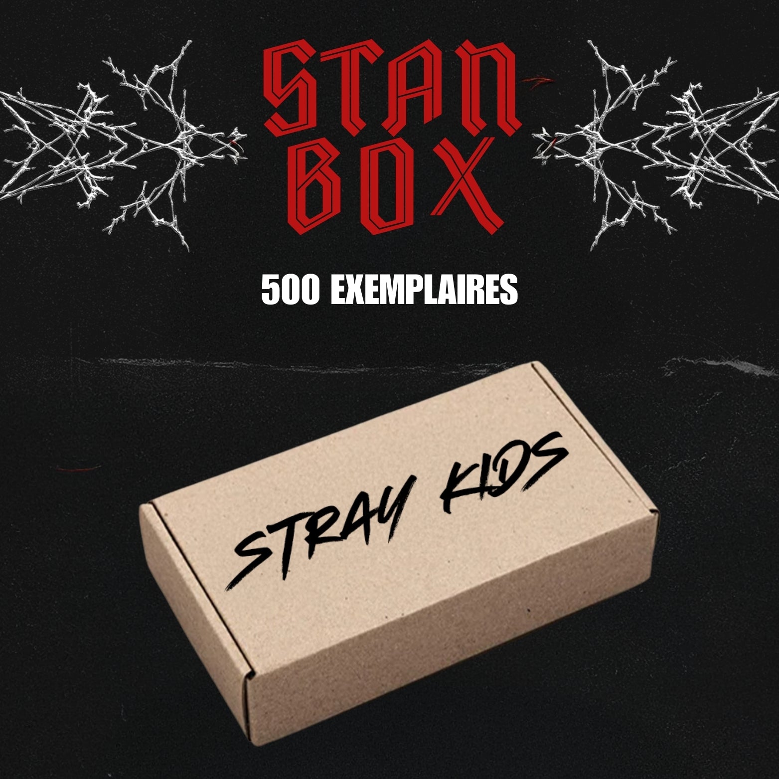 STANBOX STRAY KIDS [500 EXEMPLAIRES]