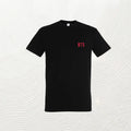 T-SHIRT BTS - Arirang