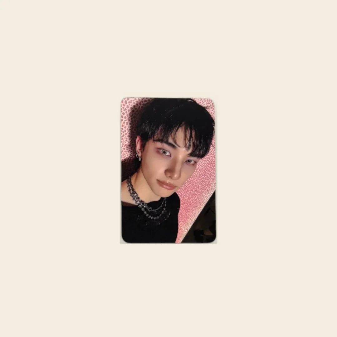 Photocard POB - Stray Kids DO IT