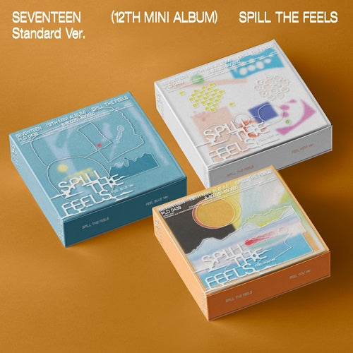 SEVENTEEN - SPILL THE FEELS [Random Cover]